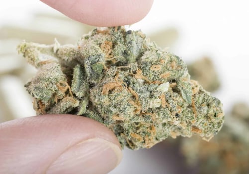 Medical Marijuana Strains for Pain Relief
